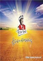 劉洋半年工作總結(jié)評估