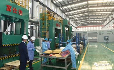 自然資源部領導赴淮調研 深化節約集約利用，評估成效促發展